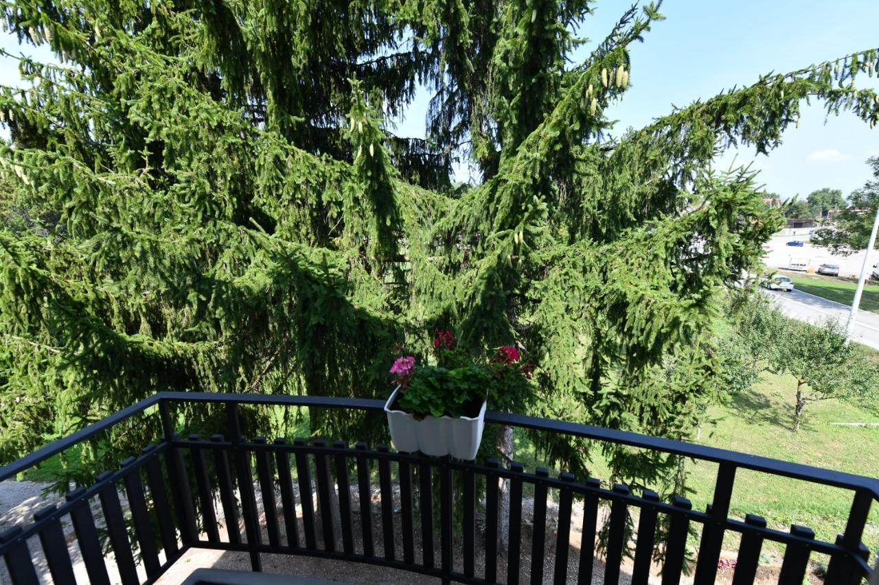 Apartmani Zagi Rakovica Kültér fotó